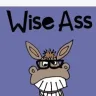 Wizeass